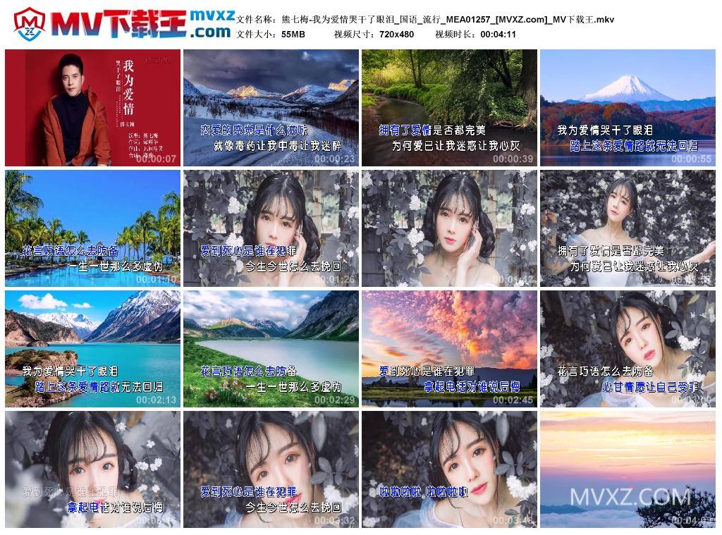 熊七梅-我为爱情哭干了眼泪_国语_流行_MEA01257